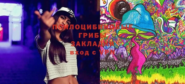 2c-b Козельск