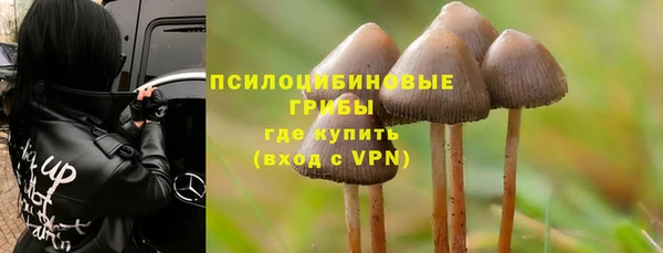 MDMA Premium VHQ Козловка