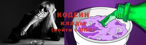 2c-b Козельск