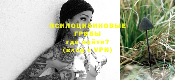 MDMA Premium VHQ Козловка