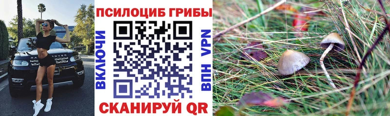ОМГ ОМГ tor  Нестеровская  Галлюциногенные грибы мицелий 